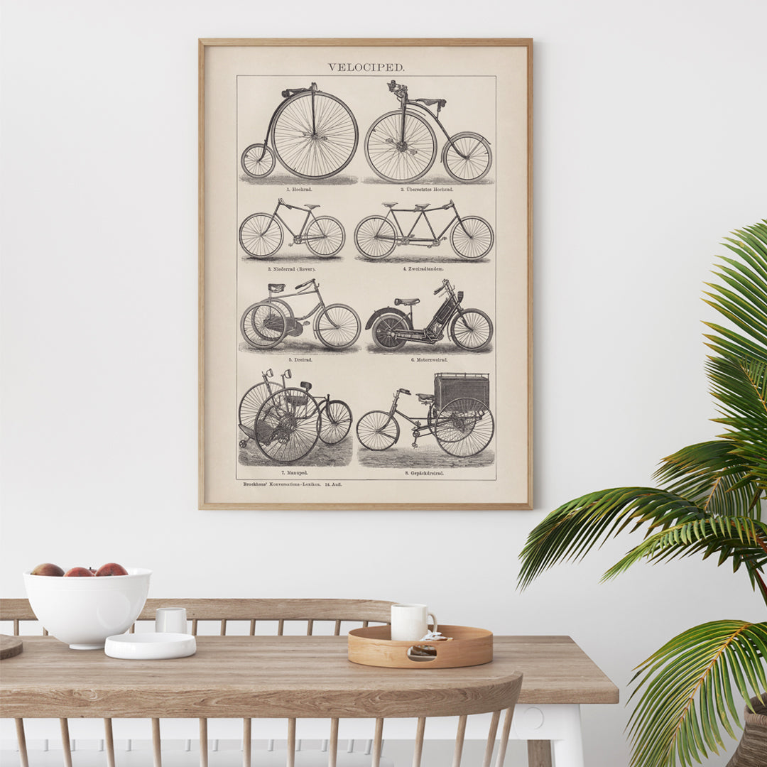 Vintage bicycle types and illustrations by Bibliographic institute of Liepzig Velociped with labeled bike types, framed and displayed in home decor