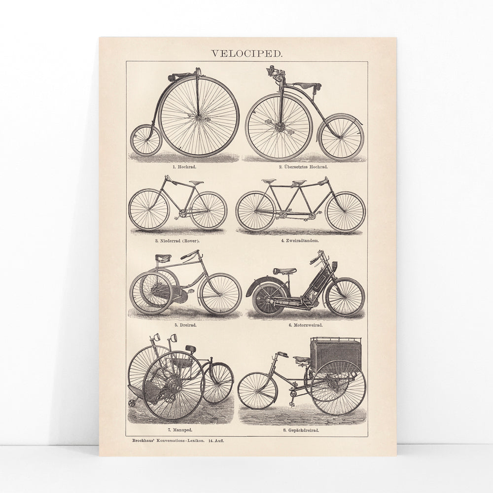 Vintage bicycle types and illustrations by Bibliographic institute of Liepzig Velociped with labeled bike types, framed and displayed in modern living room decor