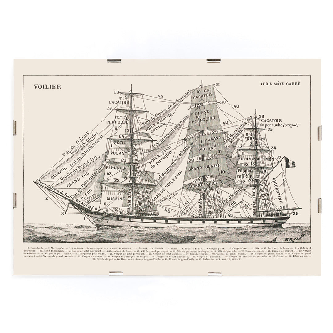 , framed and displayed in modern living room decor