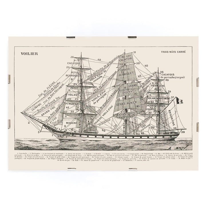 , framed and displayed in modern living room decor