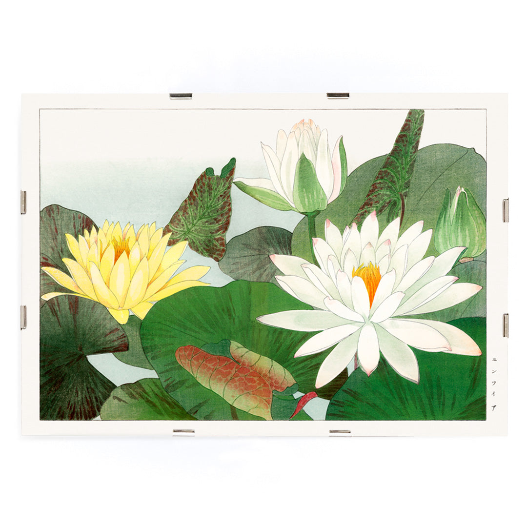 Illustration of yellow and white water lilies with lush green leaves from Nymphaea lotus by Tanigami Konan wall decor poster, framed and displayed in modern living room decor