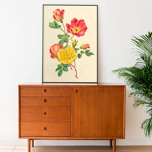 Botanical illustration of wild rose flowers with green leaves yellow and pink blooms by Antoinette Luden, framed and displayed in home decor