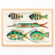 Illustrazioni colorate e surreali di pesci 3
