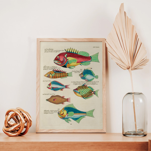 Illustrazioni colorate e surreali di pesci 4