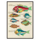Illustrazioni colorate e surreali di pesci 4