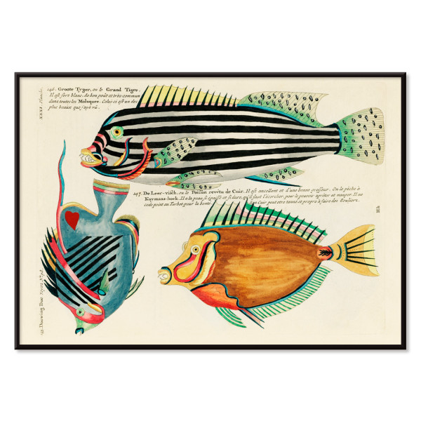 Illustrazioni colorate e surreali di pesci 7