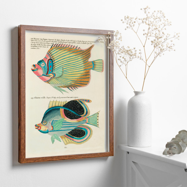 Illustrazioni colorate e surreali di pesci 8