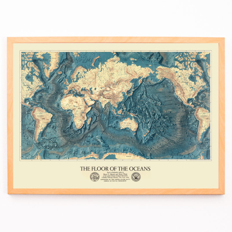 Il fondo degli oceani Il fondo degli oceani